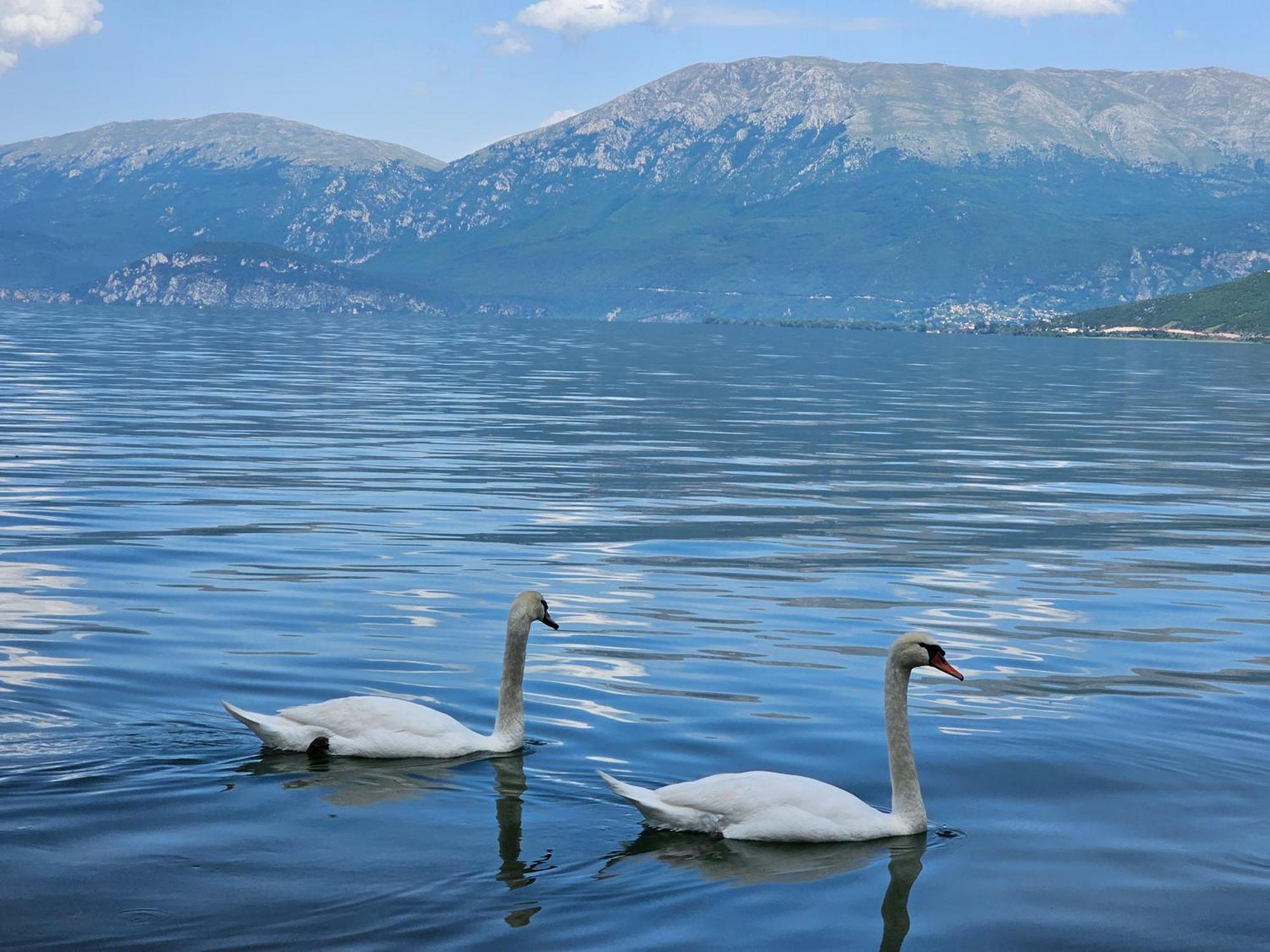 Hotel Enkelana Pogradec Exterior photo